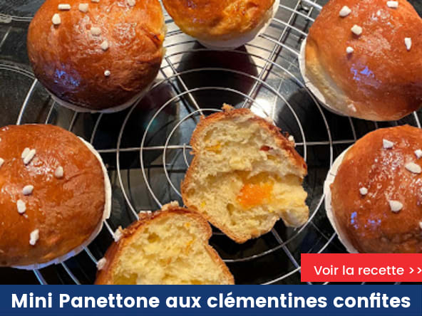 Mini Panettone aux clémentines confites